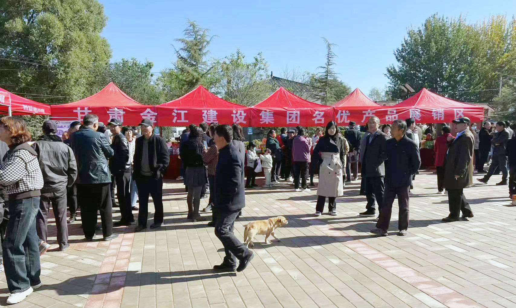 �ܴ��h���(zh��n)���P(gu��n)���hȺ����(w��)�������Ļ��V��(ch��ng)��ɽ��Ӄxʽ�A�M(m��n)�e��